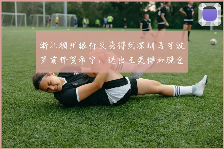 浙江稠州银行交易得到深圳马可波罗前锋贺希宁，送出王奕博加现金