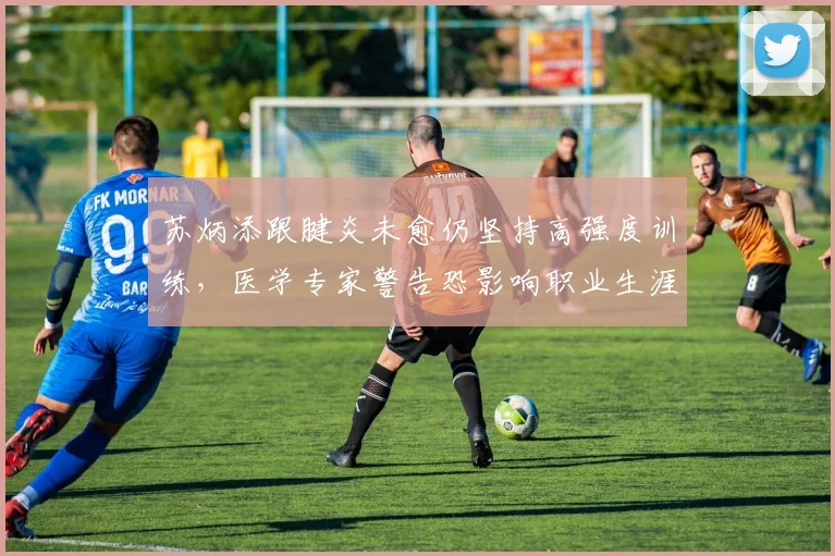 苏炳添跟腱炎未愈仍坚持高强度训练，医学专家警告恐影响职业生涯