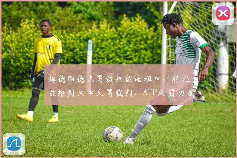 梅德维德夫骂裁判俄语粗口，对比兹维列夫中文骂裁判，ATP处罚力度是否一致？