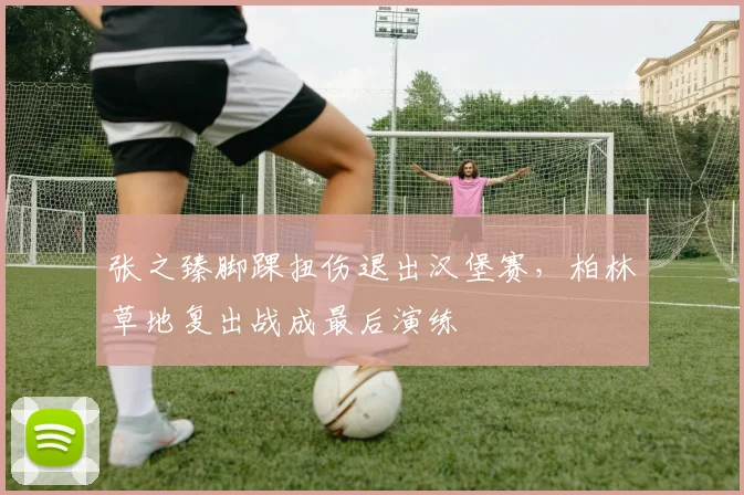 张之臻脚踝扭伤退出汉堡赛，柏林草地复出战成最后演练